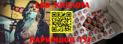 шишки Лесосибирск
