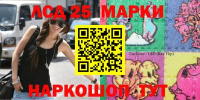 шишки Лесосибирск