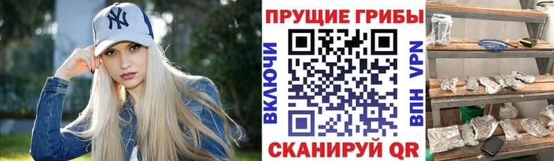Галлюциногенные грибы прущие грибы  Лесозаводск 