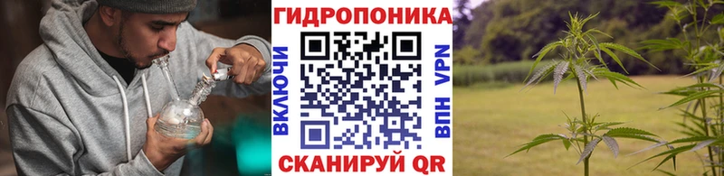 Каннабис OG Kush  наркотики  Лесозаводск 